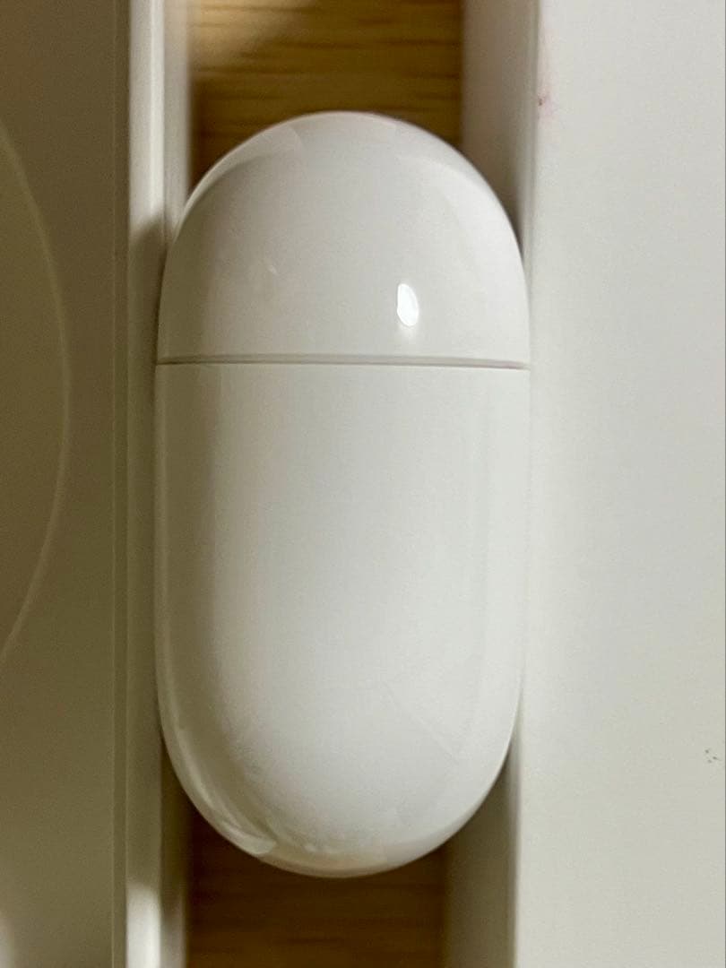 AirPods Pro 2 (USB typec)本体