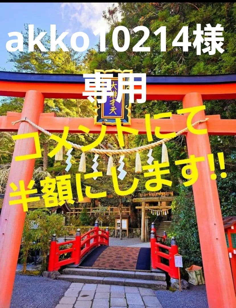 akko様★専用★激烈に超希少‼️ブルーザギマウンテン原石 ペンダント