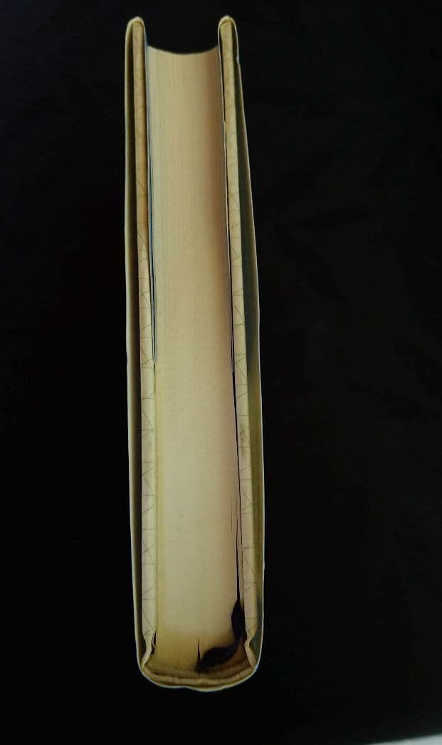 【絶版・貴重・入手困難】科学と宗教の統合 ケン・ウィルバー  帯付き