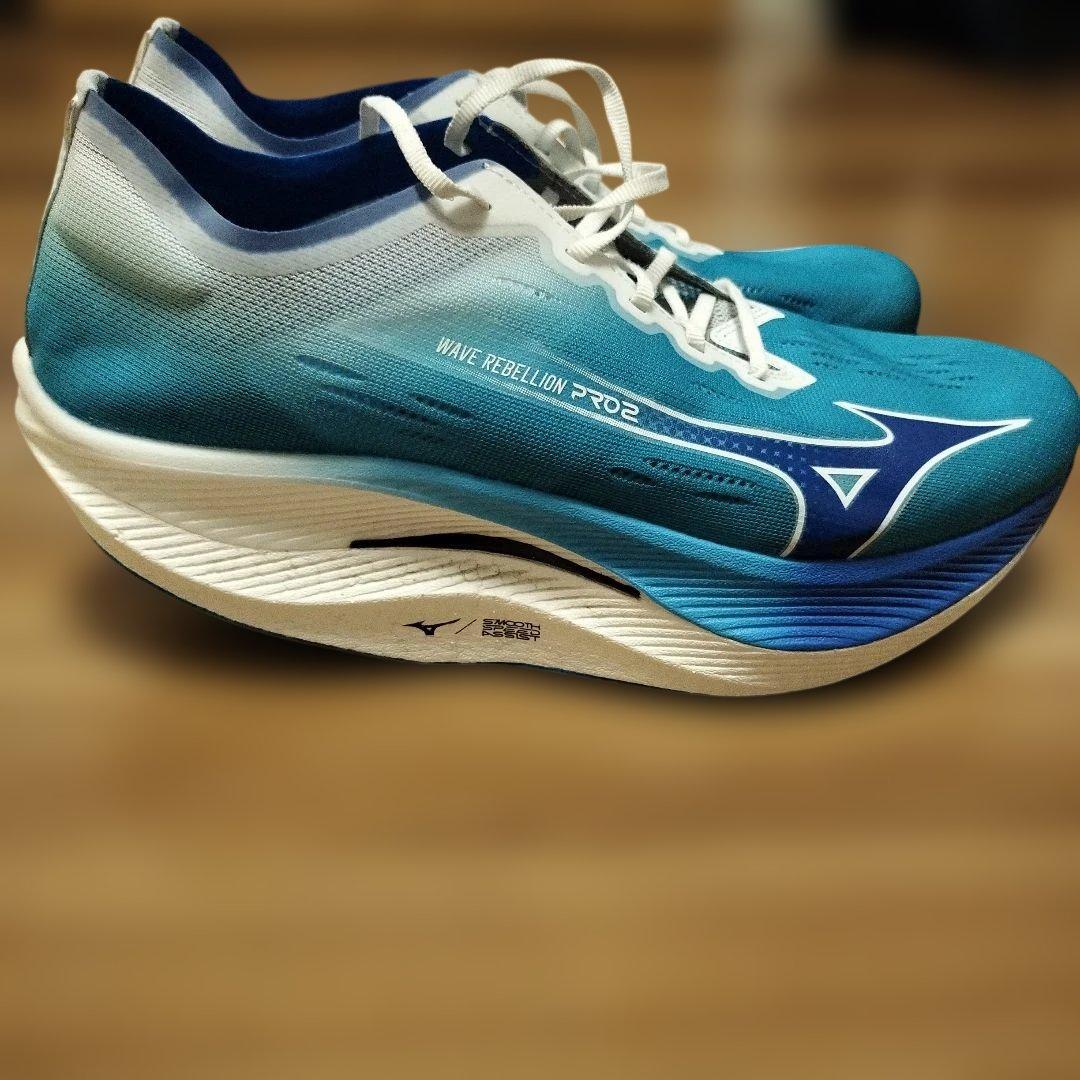 ミズノ ウエーブリベリオンプロ２ 29.0cm
