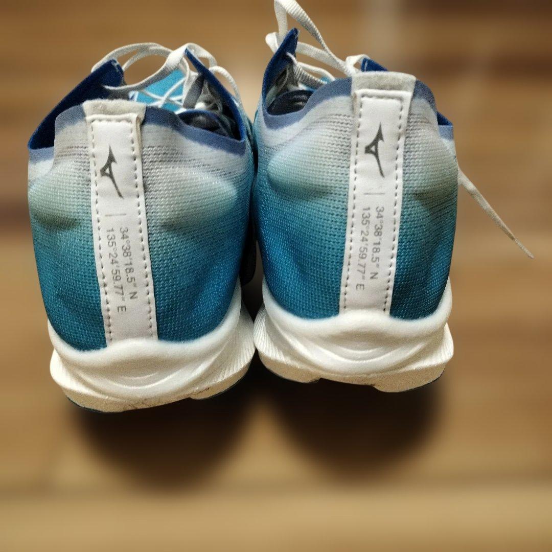 ミズノ ウエーブリベリオンプロ２ 29.0cm