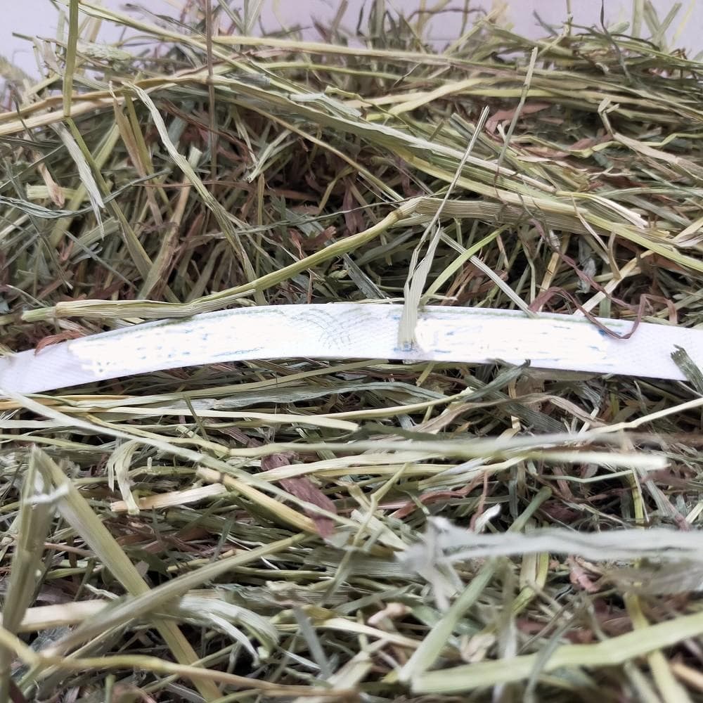 【2/23まで】US産 チモシー 30kg ２番刈 ソフトSプレミアム!!