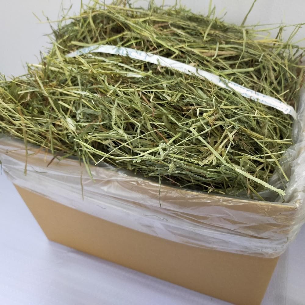 【2/23まで】US産 チモシー 30kg ２番刈 ソフトSプレミアム!!