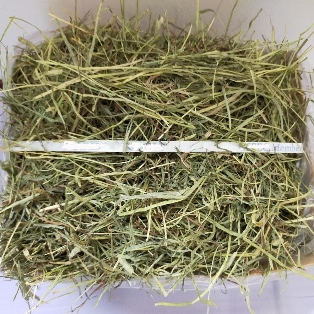 【2/23まで】US産 チモシー 30kg ２番刈 ソフトSプレミアム!!