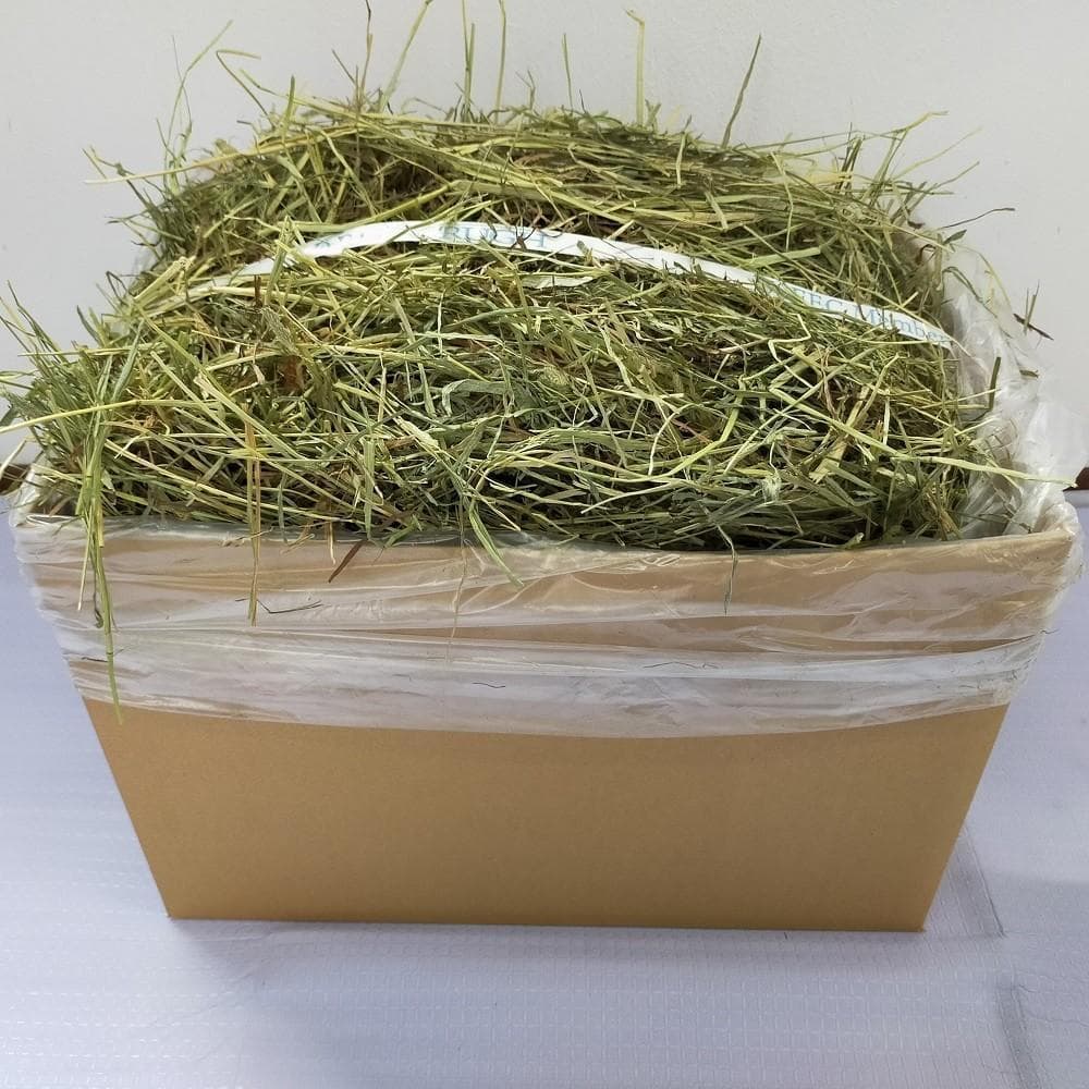 【2/23まで】US産 チモシー 30kg ２番刈 ソフトSプレミアム!!