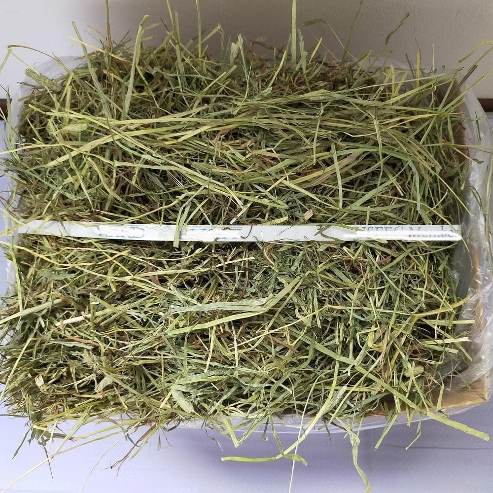 【2/23まで】US産 チモシー 30kg ２番刈 ソフトSプレミアム!!