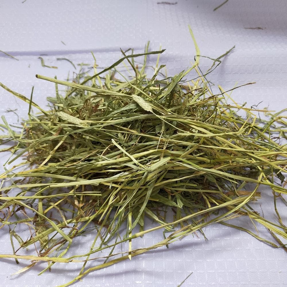 【2/23まで】US産 チモシー 30kg ２番刈 ソフトSプレミアム!!