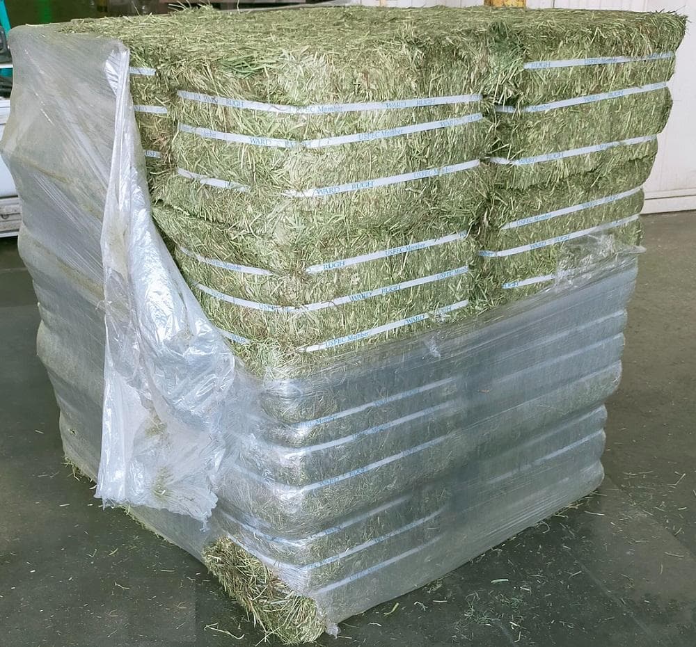 【2/23まで】US産 チモシー 30kg ２番刈 ソフトSプレミアム!!