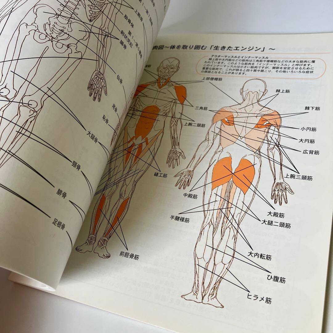 ゲルマニウム健康療法 ゲルマニウムでいつまでも元気に健康に ゲルマニウムとその…