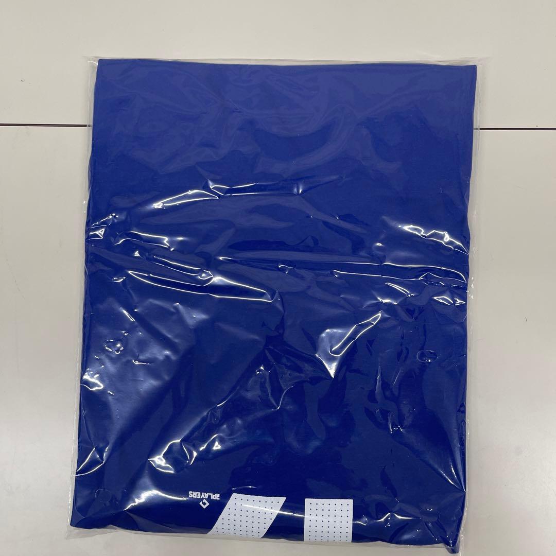 【受注商品】NIKE ドジャース 大谷翔平 2024ワールドシリーズ 優勝記念