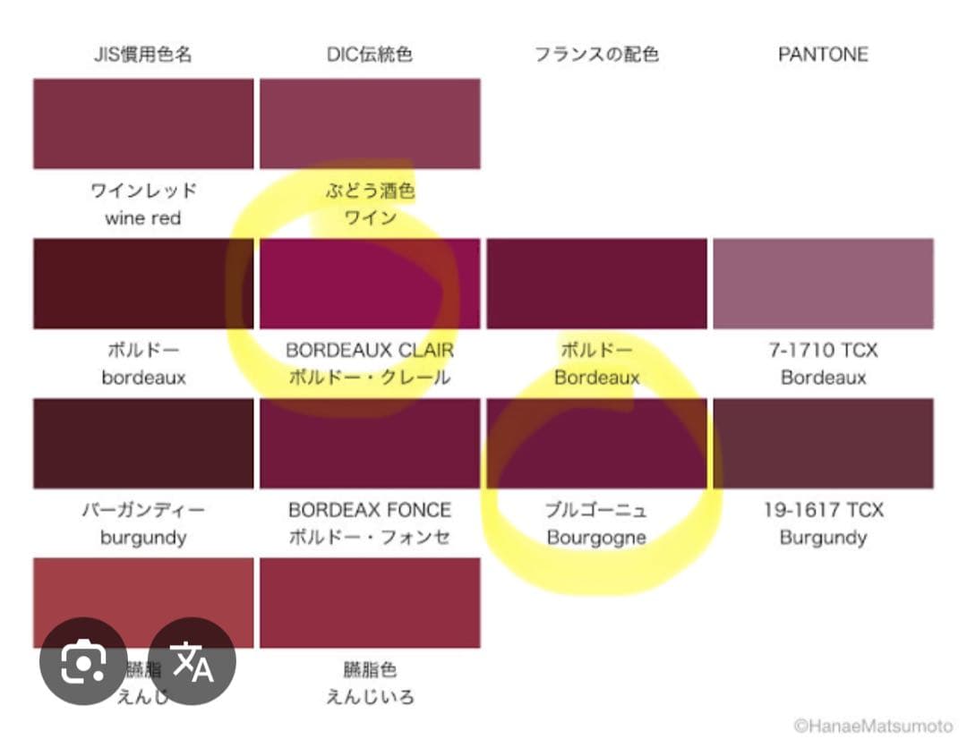 アレクサンドルドゥパリ カメリア バレッタ ボルドー バッグ付き