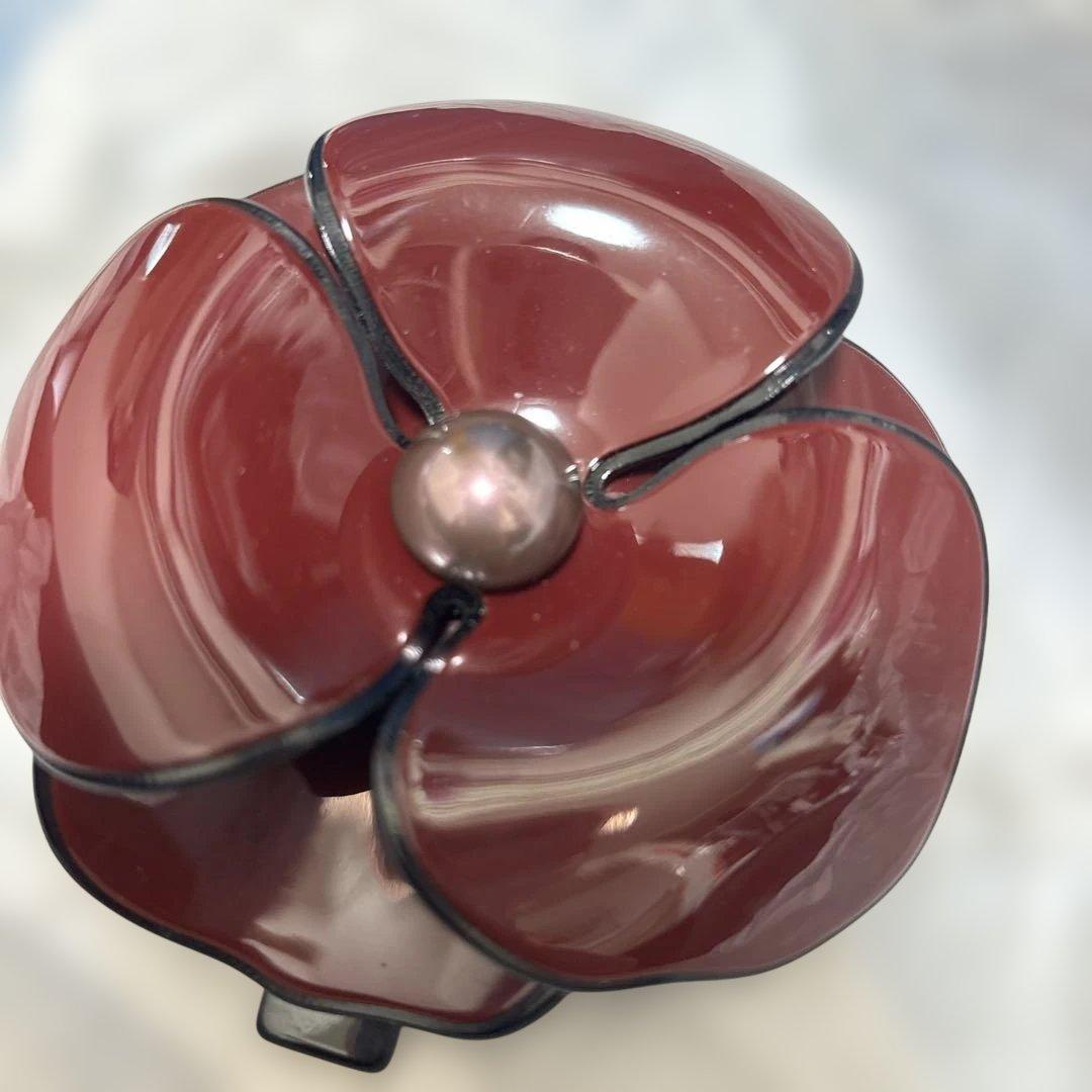 アレクサンドルドゥパリ カメリア バレッタ ボルドー バッグ付き