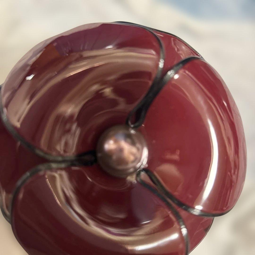 アレクサンドルドゥパリ カメリア バレッタ ボルドー バッグ付き