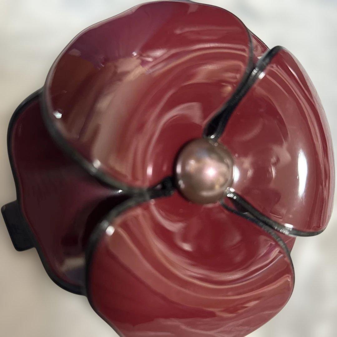 アレクサンドルドゥパリ カメリア バレッタ ボルドー バッグ付き