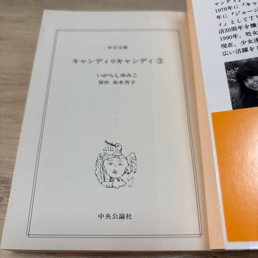キャンディ♡キャンディ いがらしゆみこ 文庫版 全巻セット②