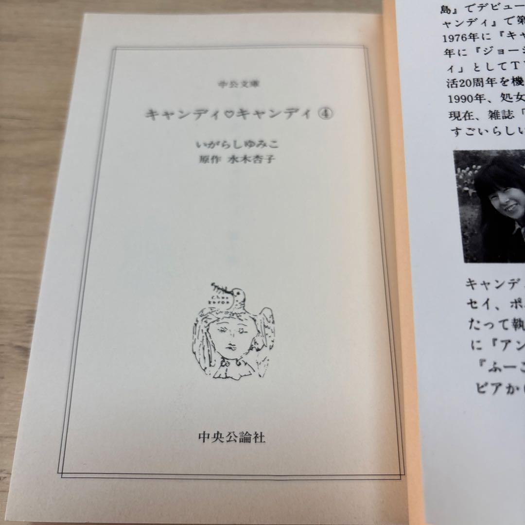 キャンディ♡キャンディ いがらしゆみこ 文庫版 全巻セット②