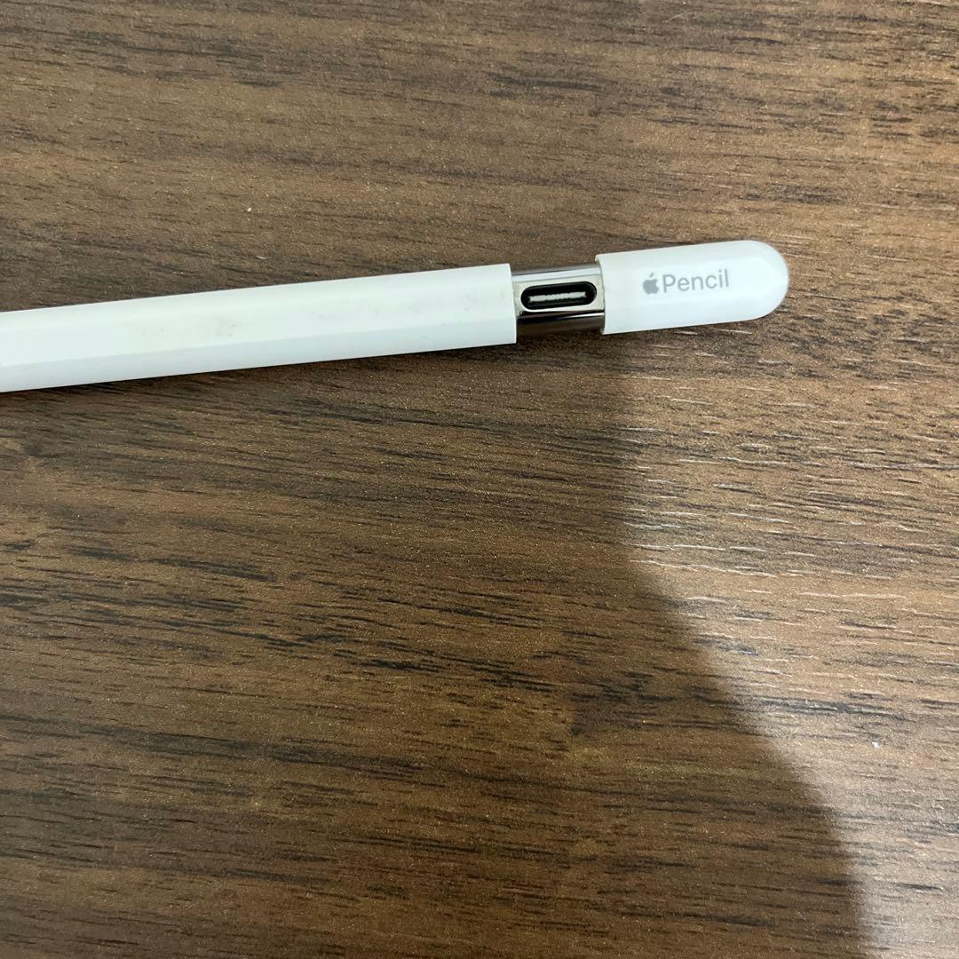 Apple Pencil (USB-c) typeC タイプC 純正＋替え芯