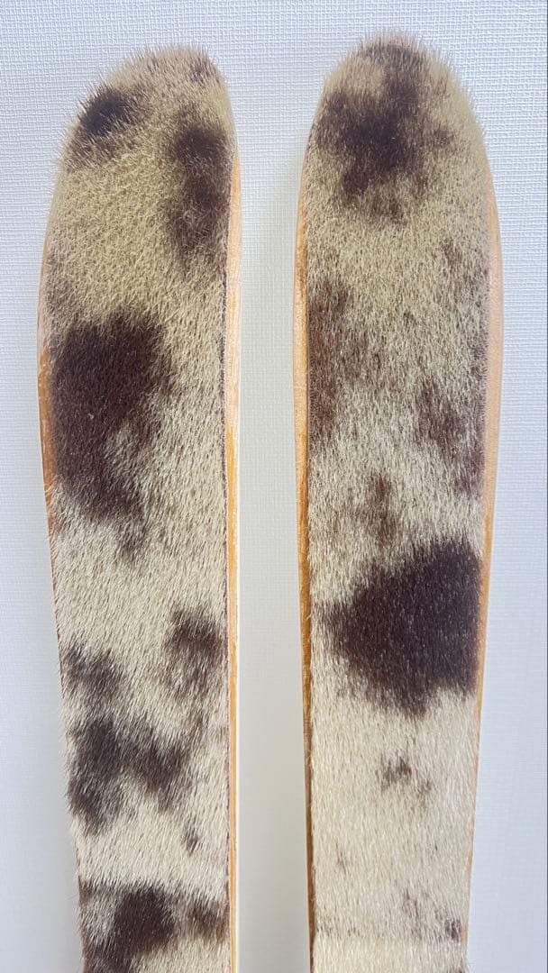 SHOW GROWN 山スキー板 イエロー