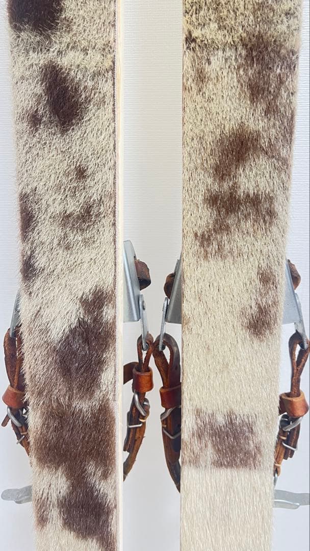 SHOW GROWN 山スキー板 イエロー