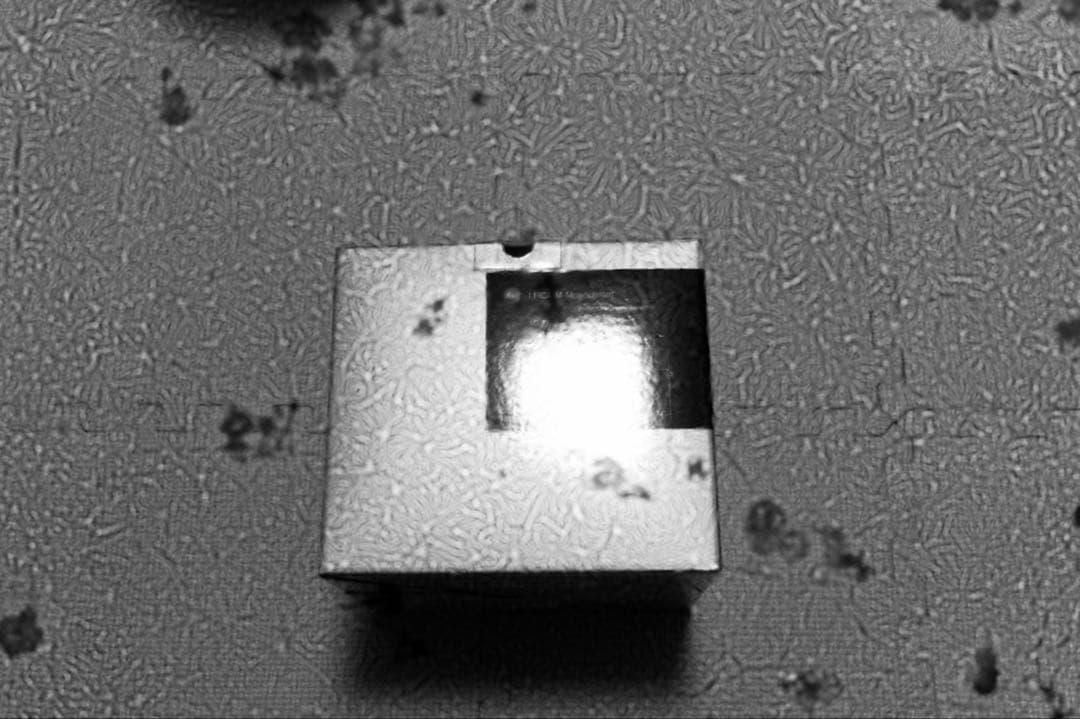 フィルムカメラ LEICA M Monochrom 10760