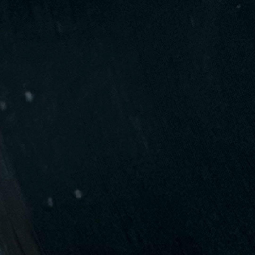 【7inch】ザ•ルースターズ / 映画『爆裂都市』Burst City 挿入歌