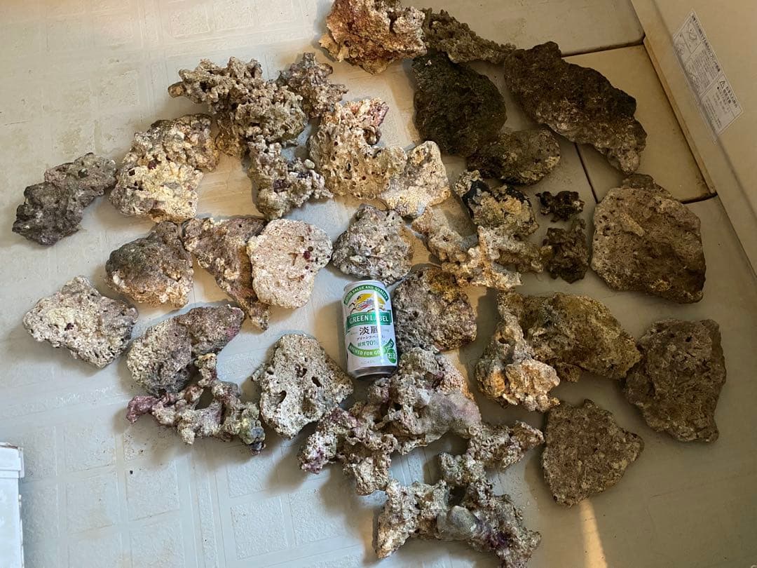 送料込み、天然ライブロック　約20kg