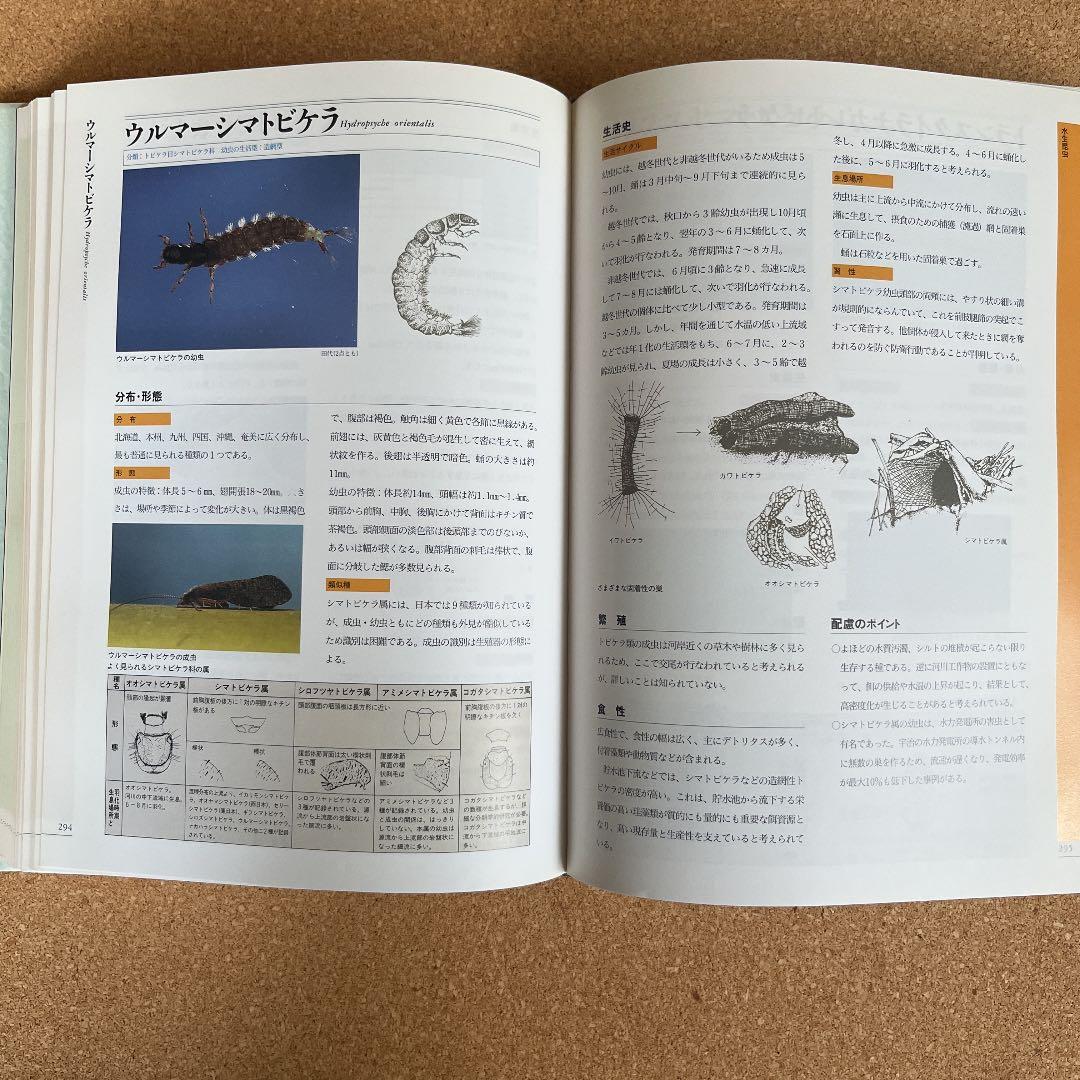 川の生物図典 : 植物・陸生昆虫・水生昆虫・魚類・鳥類・ヒル類・クモ類・貝類・…