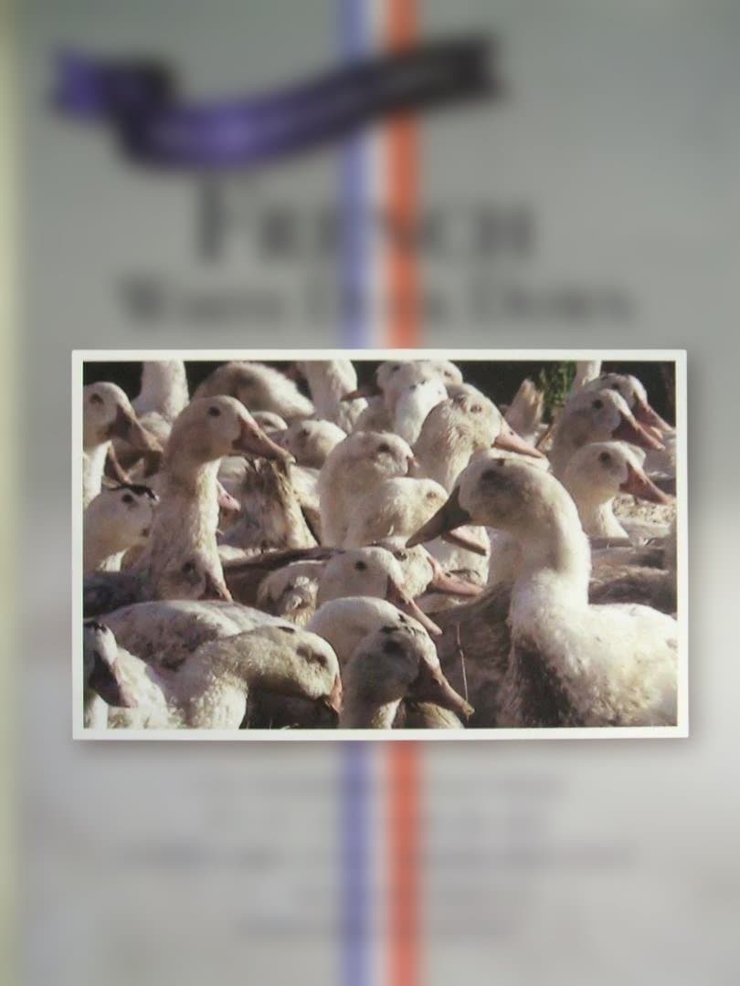 限定お買い得品‼️新品＊ロイヤル＊フランス９３％＊増量１，３キロ＊羽毛布団ＳＢ