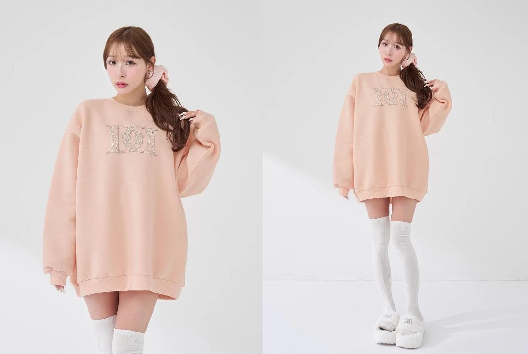 ダーリッチ darich DDロゴビジュースウェットプルオーバー ホワイト