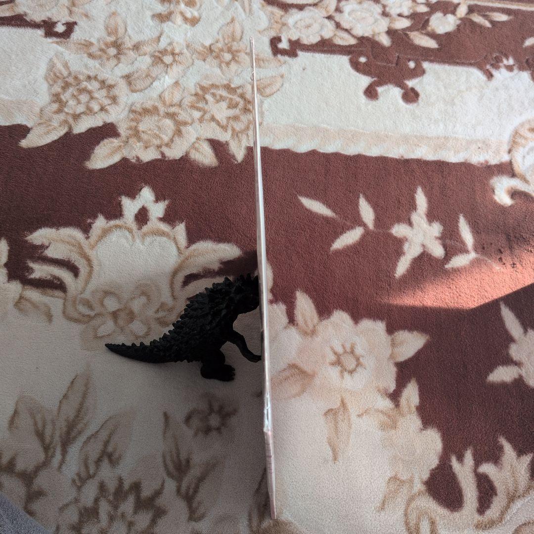 garbage「beautifulgarbage」未開封。