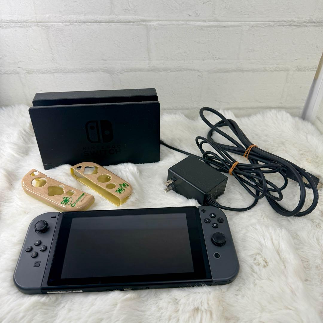 ニンテンドーSwitch初期型 本体 動作確認済みドックACアダプターHDMI付