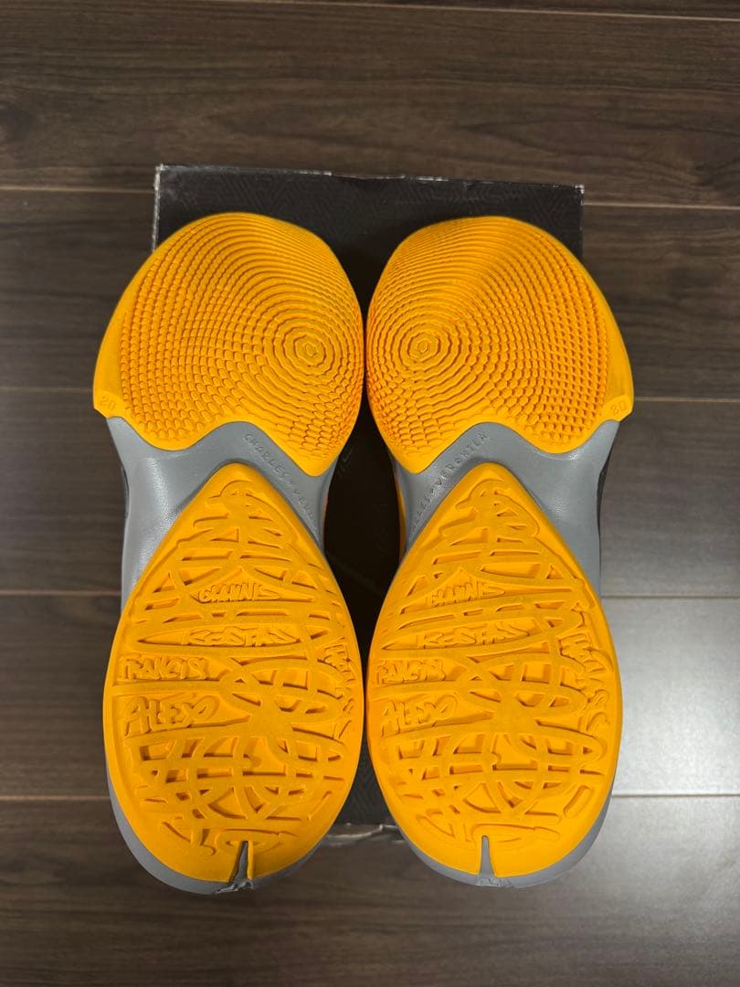 NIKE ズームフリーク2