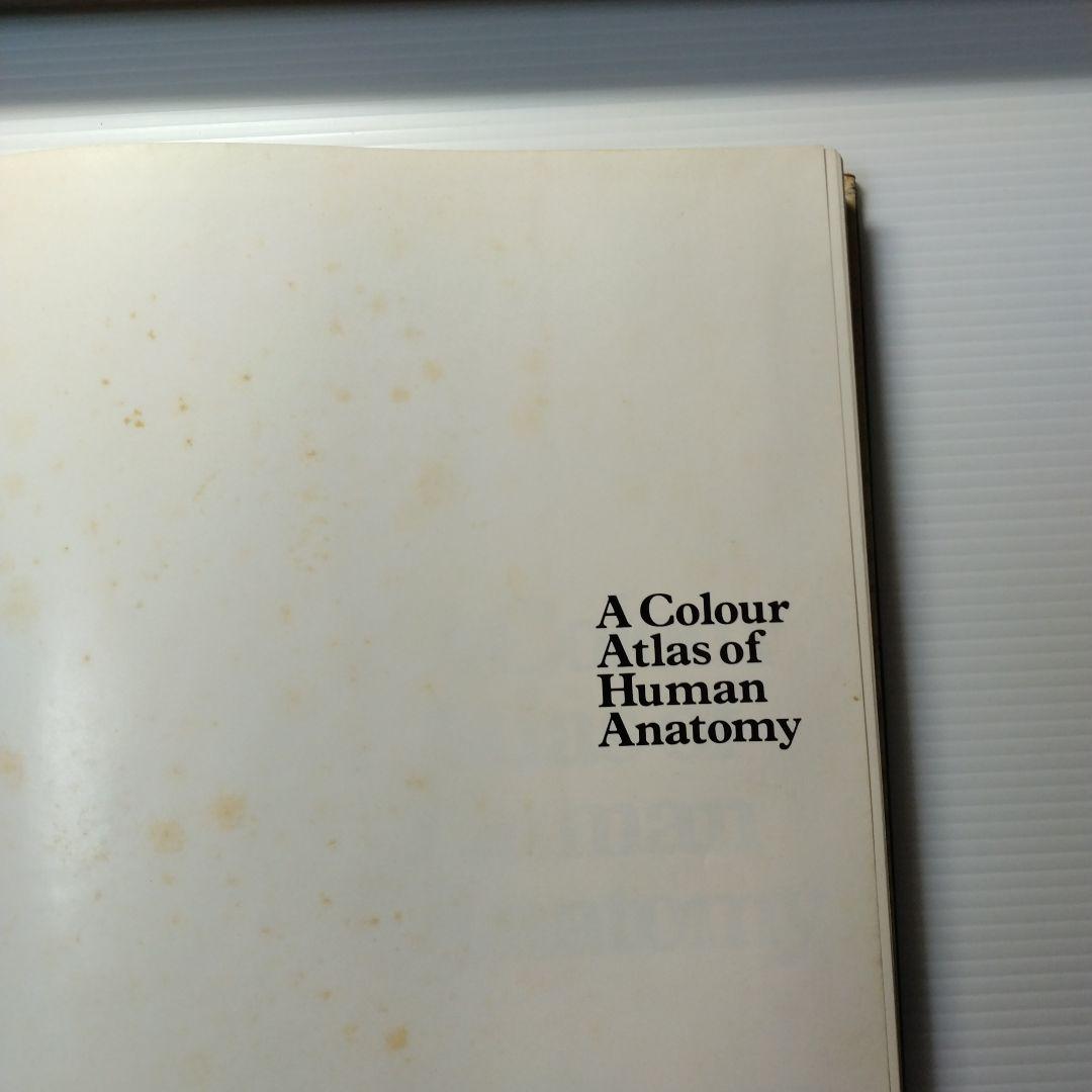 洋書 A Colour Atlas of Human Anatomy