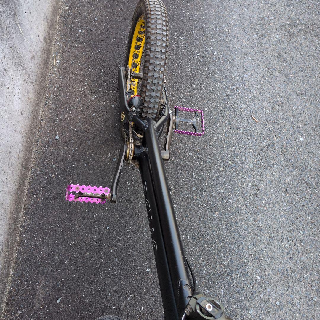 トライアル　自転車　エコー　送料込み