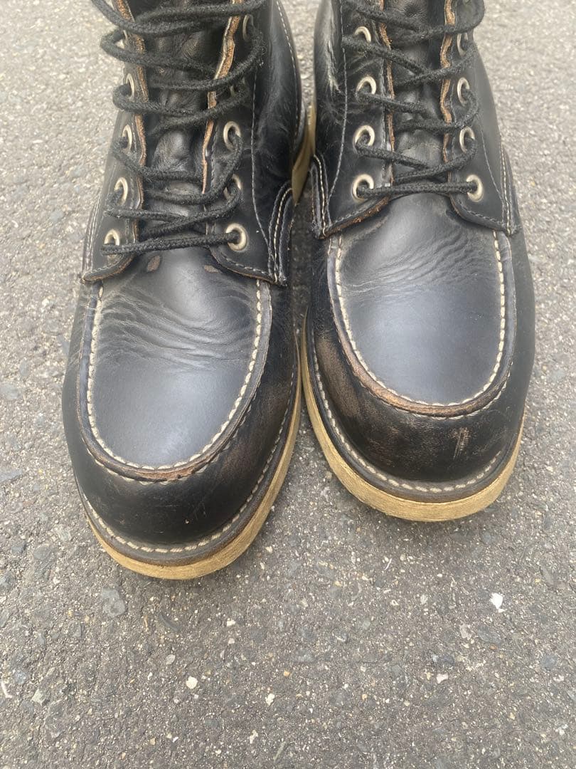 REDWING レッドウイング8179 犬タグ アイリッシュセッター9E 27㌢