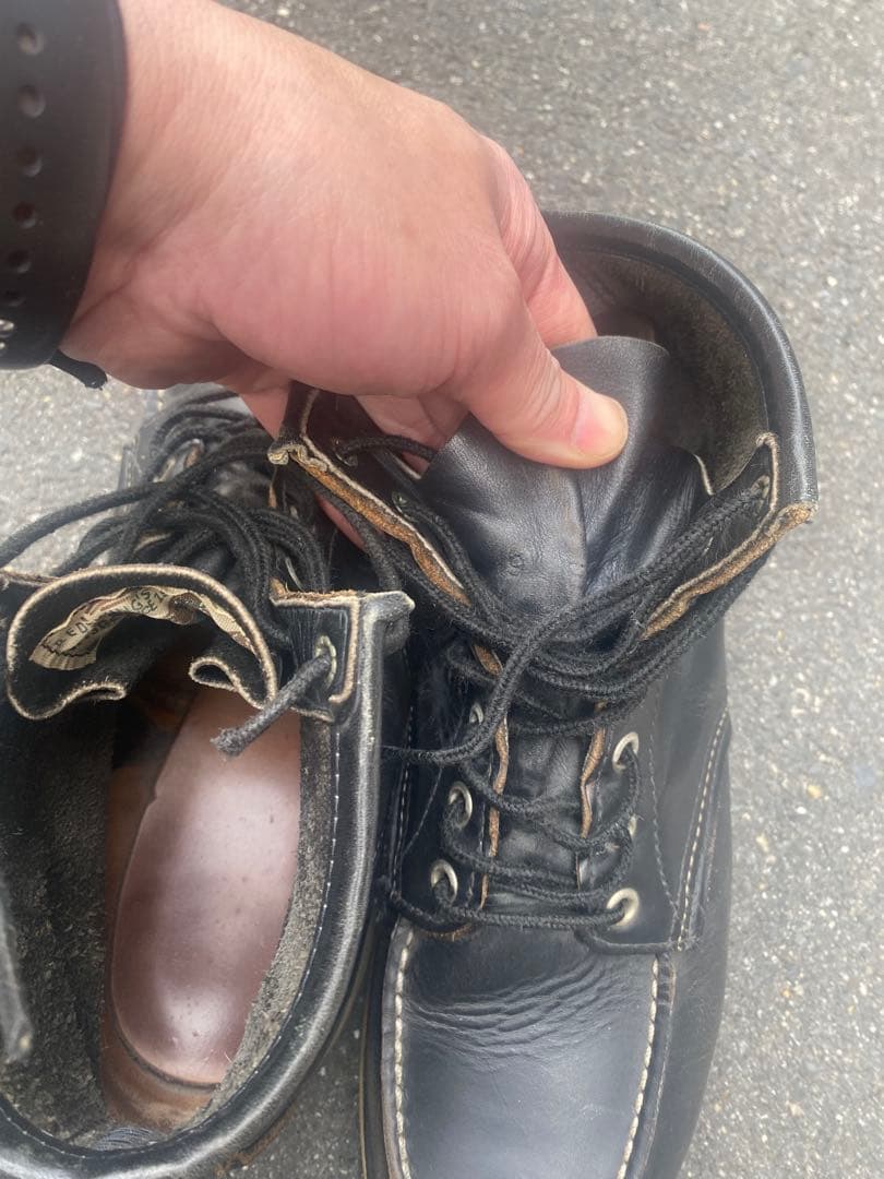 REDWING レッドウイング8179 犬タグ アイリッシュセッター9E 27㌢