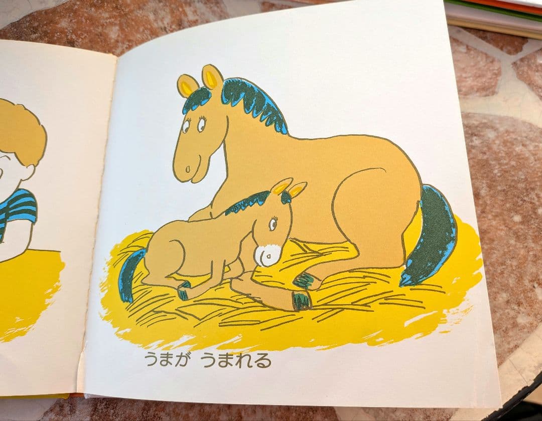 絵本30冊セット 　家庭保育園推奨　まとめ売り　福音館書店など　知育