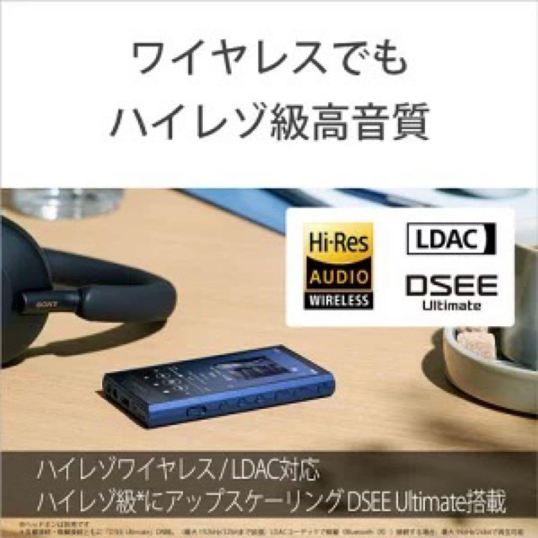 ソニー　ウォークマン　Sony Walkman NW-A307 64GB 新品