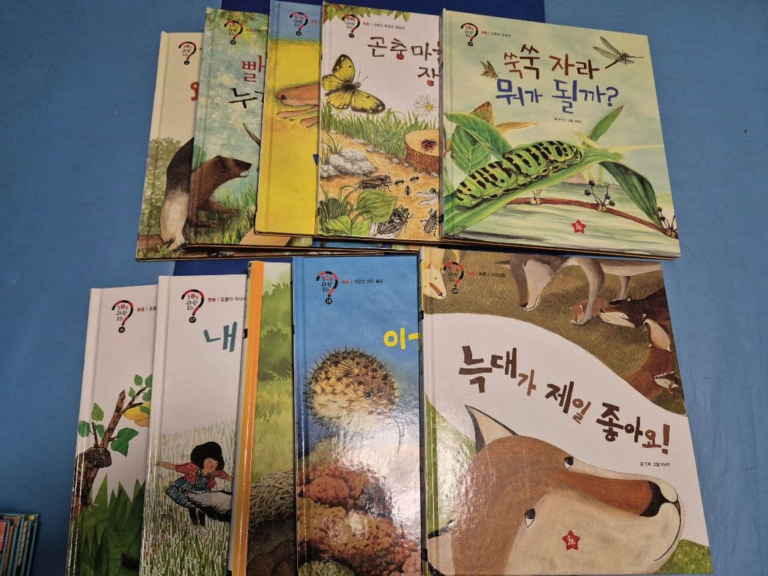 韓国語の絵本65冊(호기심 과학 동화)幼児用