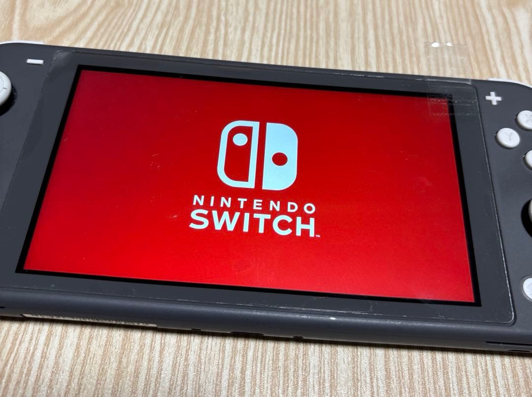 T*U様 動作問題なし☆画面保護　Nintendo Switch Light