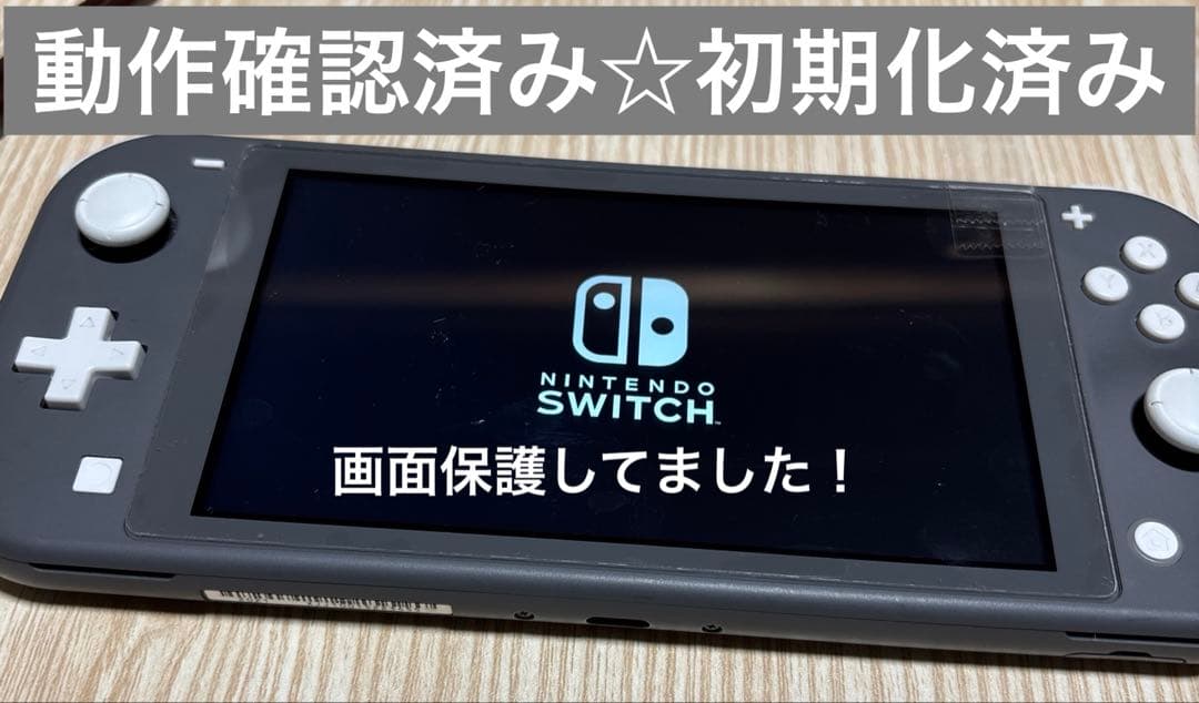T*U様 動作問題なし☆画面保護　Nintendo Switch Light