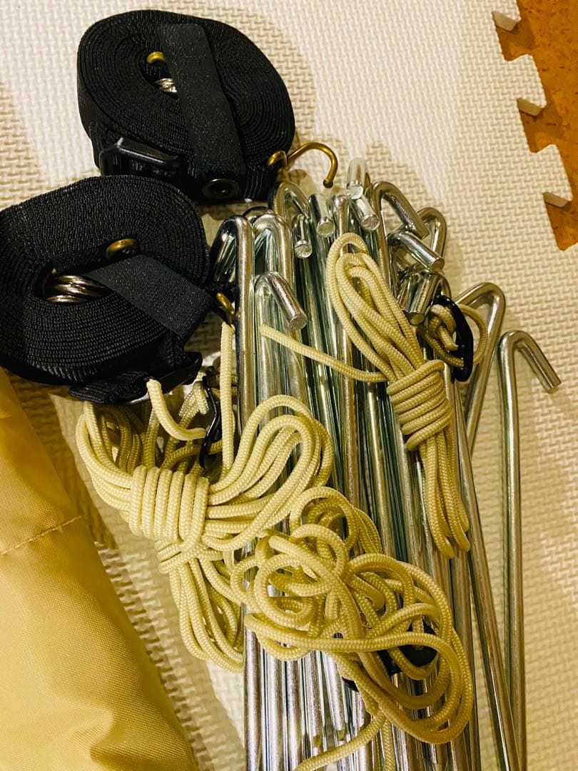 サバティカル　スカイパイロットTC