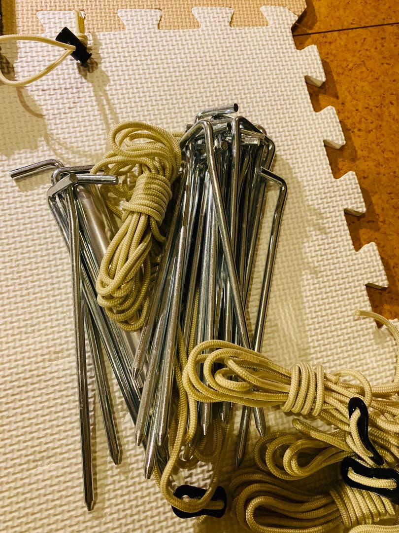 サバティカル　スカイパイロットTC