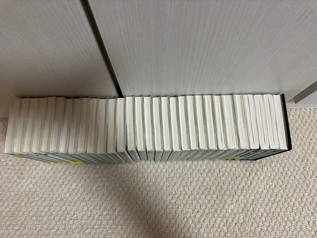 Re:ゼロから始める異世界生活 小説 1～30巻 セット