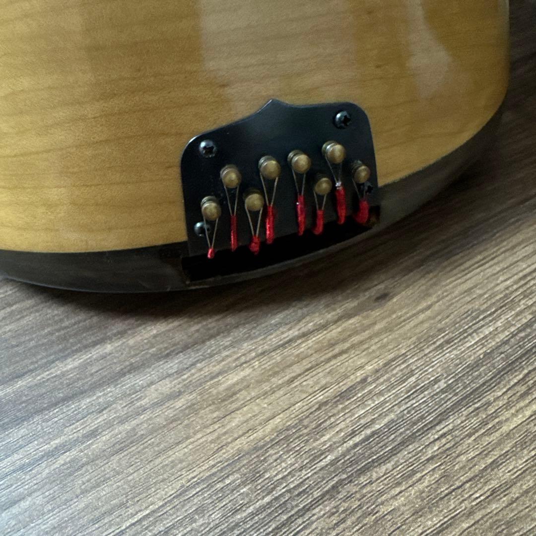 SUZUKI M-30 マンドリン 本体 ハードケース 付き