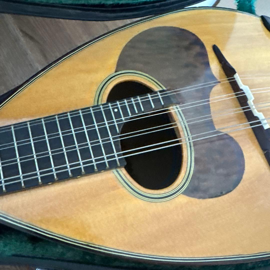 SUZUKI M-30 マンドリン 本体 ハードケース 付き