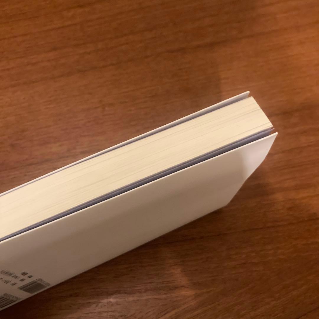 光の魂たち 山岳編 序章 人の御魂を磨く聖なる山々 / 森井啓ニ