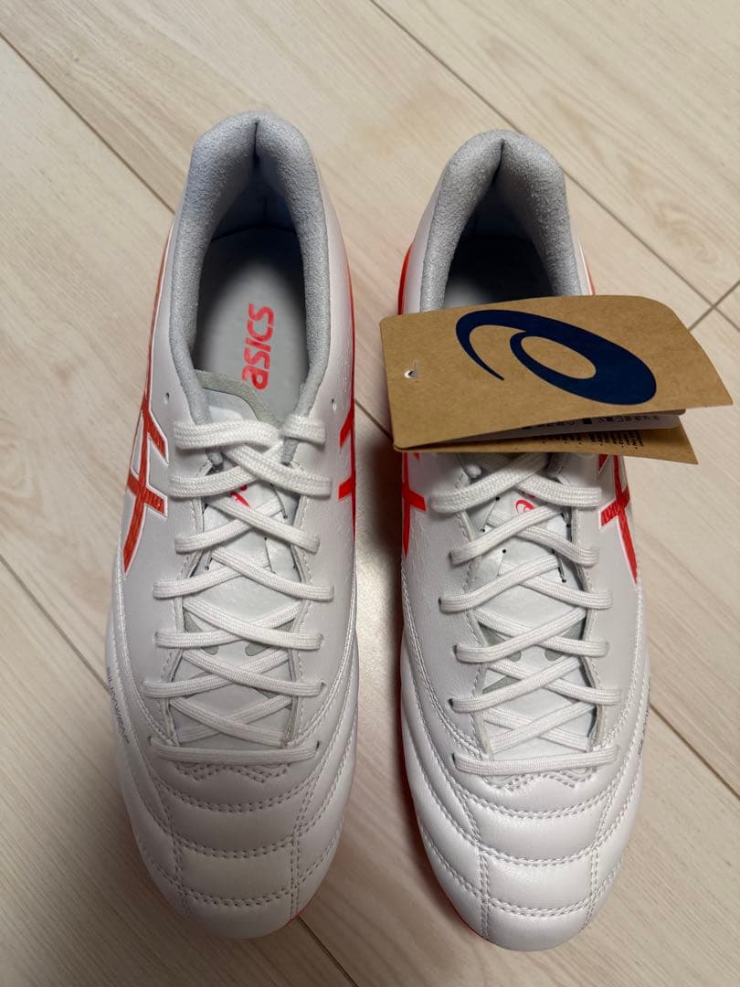 シューズ ASICS DS LIGHT X-FLY6 25cm