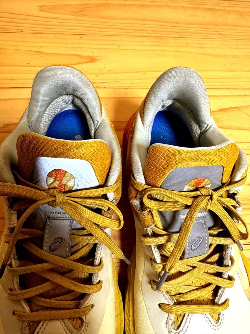 Asics × Ballaholic NOVA SURGE LOW サイズ26