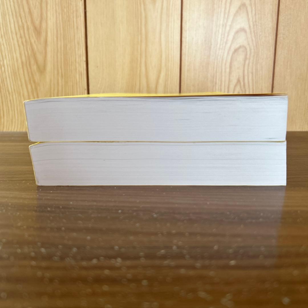 【2024年版】鉄緑会 化学発展講座 上下巻